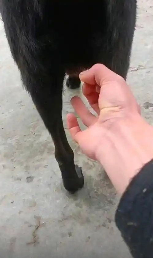 搞笑图片还以为在备考复习,结果却是在打麻将
