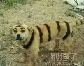 最新幽默笑话大全,搞笑段子大全,搞笑动态图片大全第16776页别逗了笑话网

