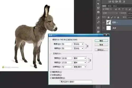 ps教程放大镜,制作移动的放大镜动画效果图
