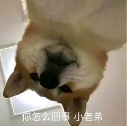 我的世界每周方块7年老玩家都不敢说认全这5种泥土方块
