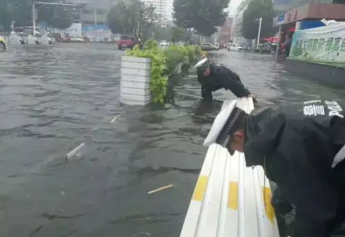 山东全境8级以上大风鲁东地区暴雨继续29.5万人受灾
