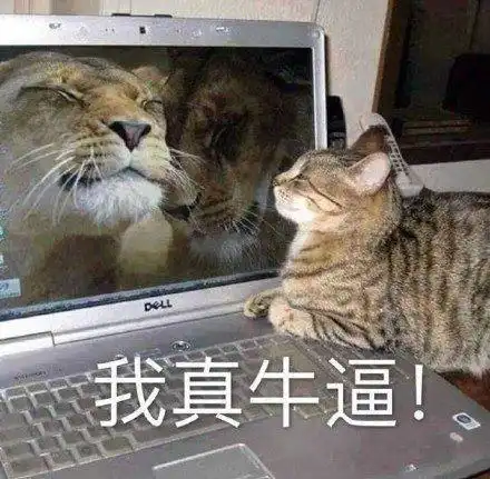 搞笑gif碰到女司机,一定要离远一点
