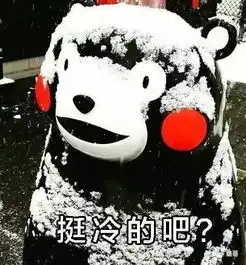台湾来的林宥嘉,在北京被冻傻了,穿毛衣全程抱紧自己,不顾形象地小碎步跑完红毯
