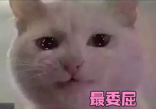 天了噜,这个产品吸收好快那只是干了而已
