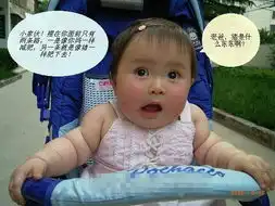 亲你该减肥了
