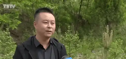 创建省级森林城市一起绿动天水
