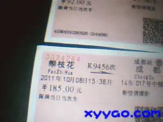 搞几张这几天的票给大家看看
