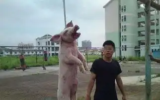 醉天下邪恶老道大话江湖愚人节不幽默
