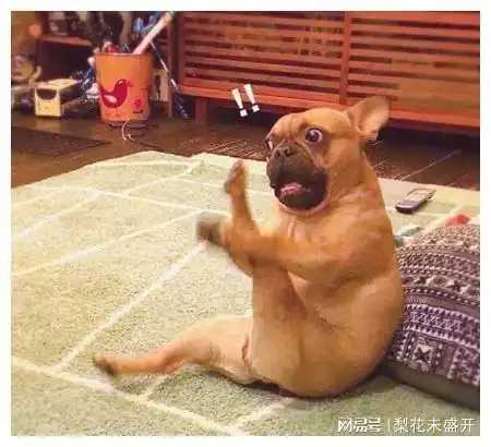 今日笑话之三
