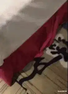 摩托车都快比人高了
