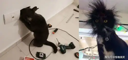 搞笑gif沙雕妹子有多可爱
