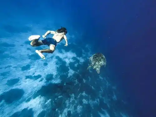 超抵深圳直飞,238元即可玩转最炫酷的菲律宾旅游路线
