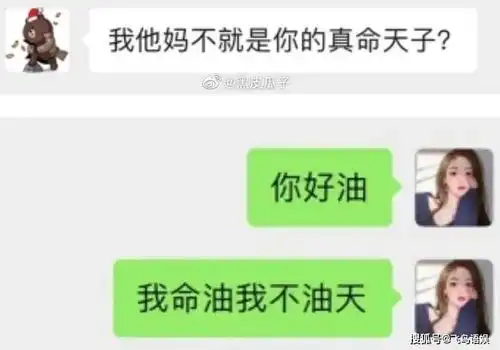 王思聪追女网红赛舔狗,反被孙一宁怼到哑口无言爆笑聊天记录曝光

