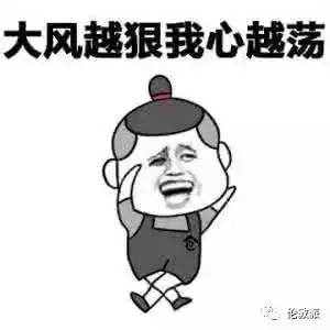 强烈怀疑今天英国的大风,是恐怖分子搞的花招...
