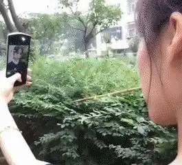 幽默搞笑段子集哈哈哈哈哈哈哈哈哈,我老婆的手机锁屏,她本人
