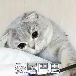 一周壁纸你那是馋她的身子
