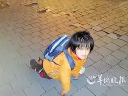 各界给力拍照解救乞讨儿行动根本难题待解决
