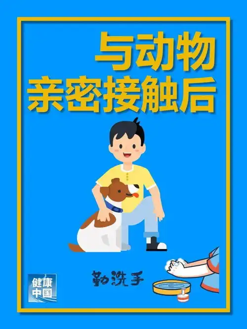 全球洗手日做这件事一定要洗手你知道是哪件事吗
