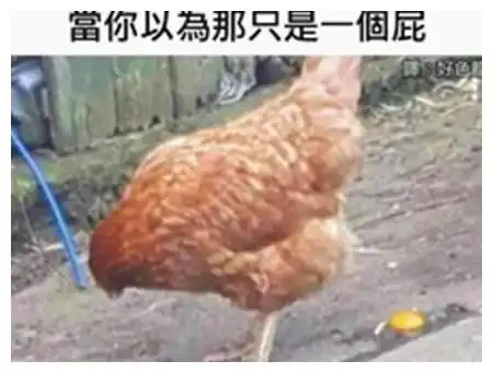 每日一笑小皮鞋,擦锃亮,30多岁没对象
