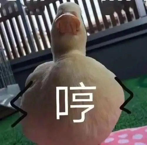 人间精品大张伟,浑身都是嘴
