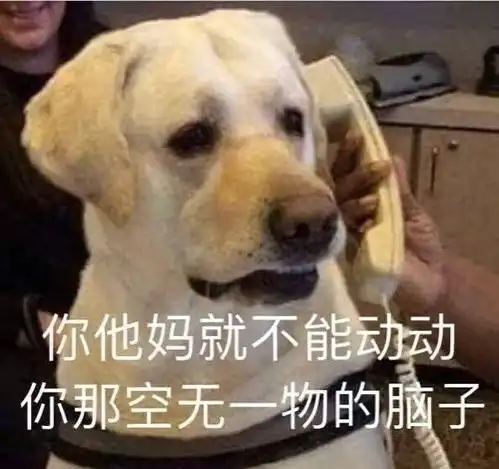 任豪娱乐圈拿无知当有趣的第一人
