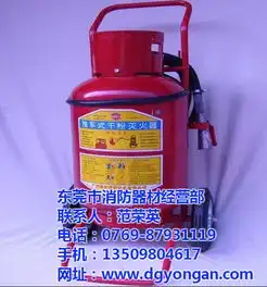 二氧化碳灭火器价格永平消防在线咨询石排灭火器高清图片高清大图
