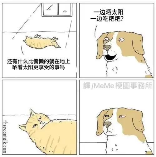搞笑趣图当你揉猫猫的肚肚超过一秒会发生什么
