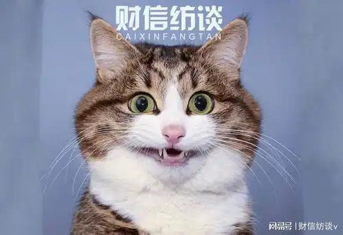 基建投资仍然不足
