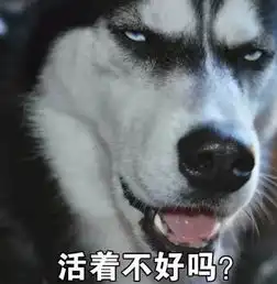 5天把二哈训练成警犬女民警我太难了
