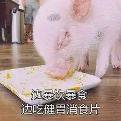 假期已过,但聪明人都选择这么旅行
