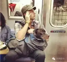 为了让宠物上地铁,他们使出了洪荒之力
