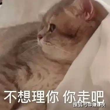 搞笑表情包图片最新热门可爱沙雕熊猫头
