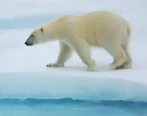 水缤纷海洋王国门票桂林水缤纷海洋王国攻略地址介绍在哪里景点好玩吗
