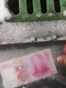 爆笑gif球小乌龟的心里阴影面积
