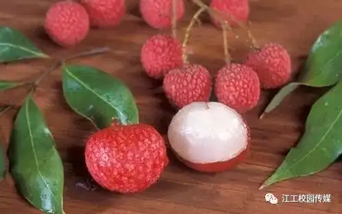 这些你还傻傻搞不清

