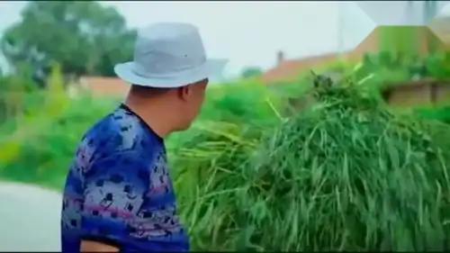 爆笑,赵四问刘能说现在你养啥了,刘能的回答亮了,笑喷了

