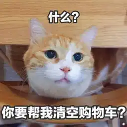 超搞笑全新萌宠带字头像无敌可爱天冷有什么事到我被窝里说
