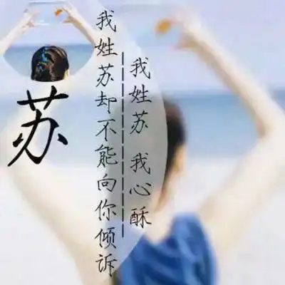 苏姓氏微信头像专属姓苏头像带文字图片大全
