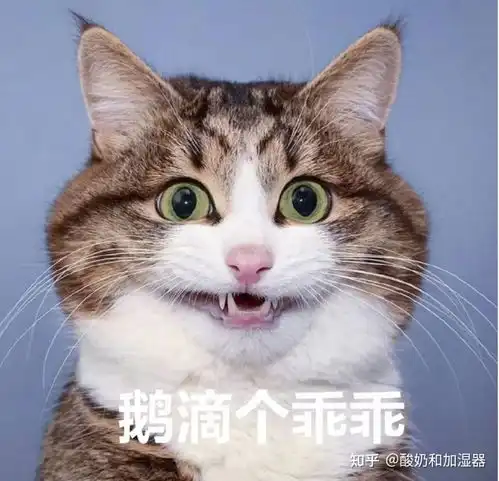 零基础学习素描一个月,能学到什么程度
