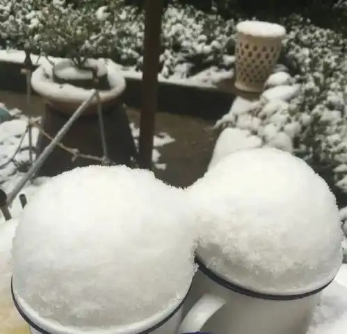 这天下大雪冷的冻鸡儿啊日报第603期
