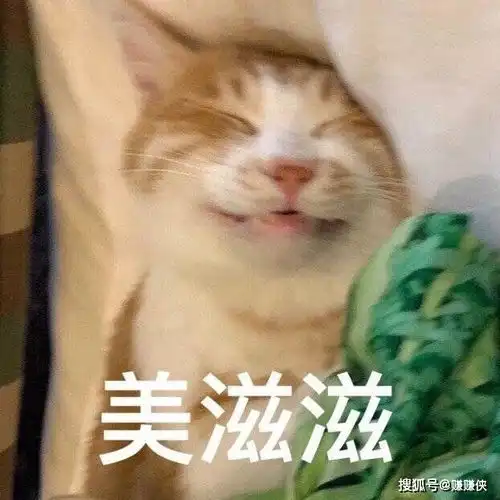 可爱搞笑表情包图片我老婆好像回来了,快
