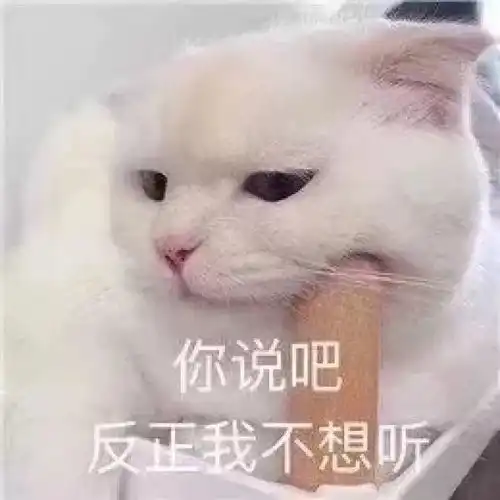 每日表情微信聊天斗图
