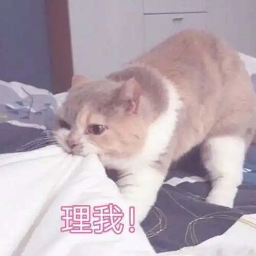 让你家憨憨血压飙升的表情包
