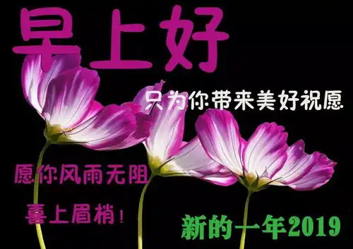 2019早上好温馨问候语动态图片大全
