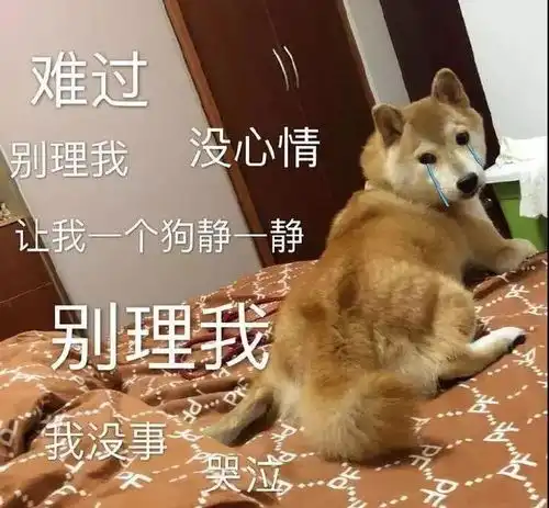 一波实用表情包
