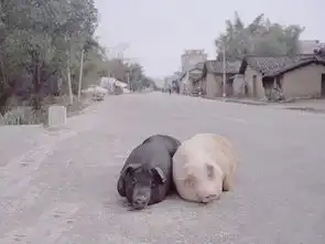 搞笑图片大全搞笑图片笑死人故事百科
