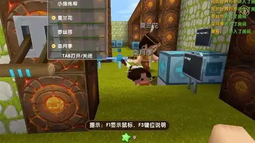 迷你世界好玩吗mc玩家体验一局后删除,可玩性要加强
