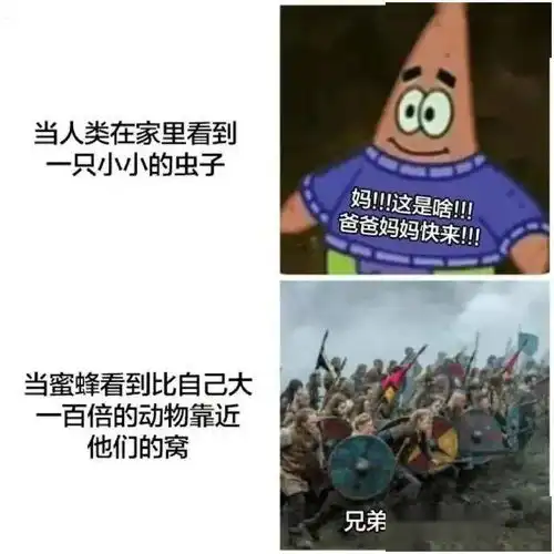 天津相声广播没想到我磕cp最多的女演员,居然是贾玲
