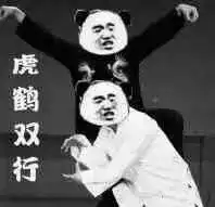 降龙十八掌搞笑表情包
