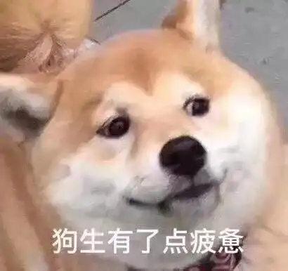 七夕搞笑表情包青蛙孤寡单身狗出租一套
